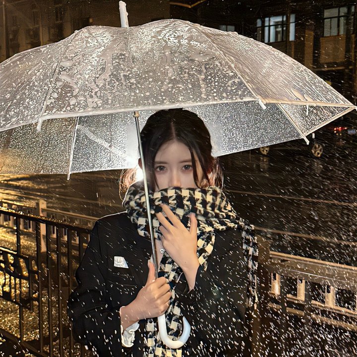 那夜凌晨,我坐上了旺角开往大埔的红VAN